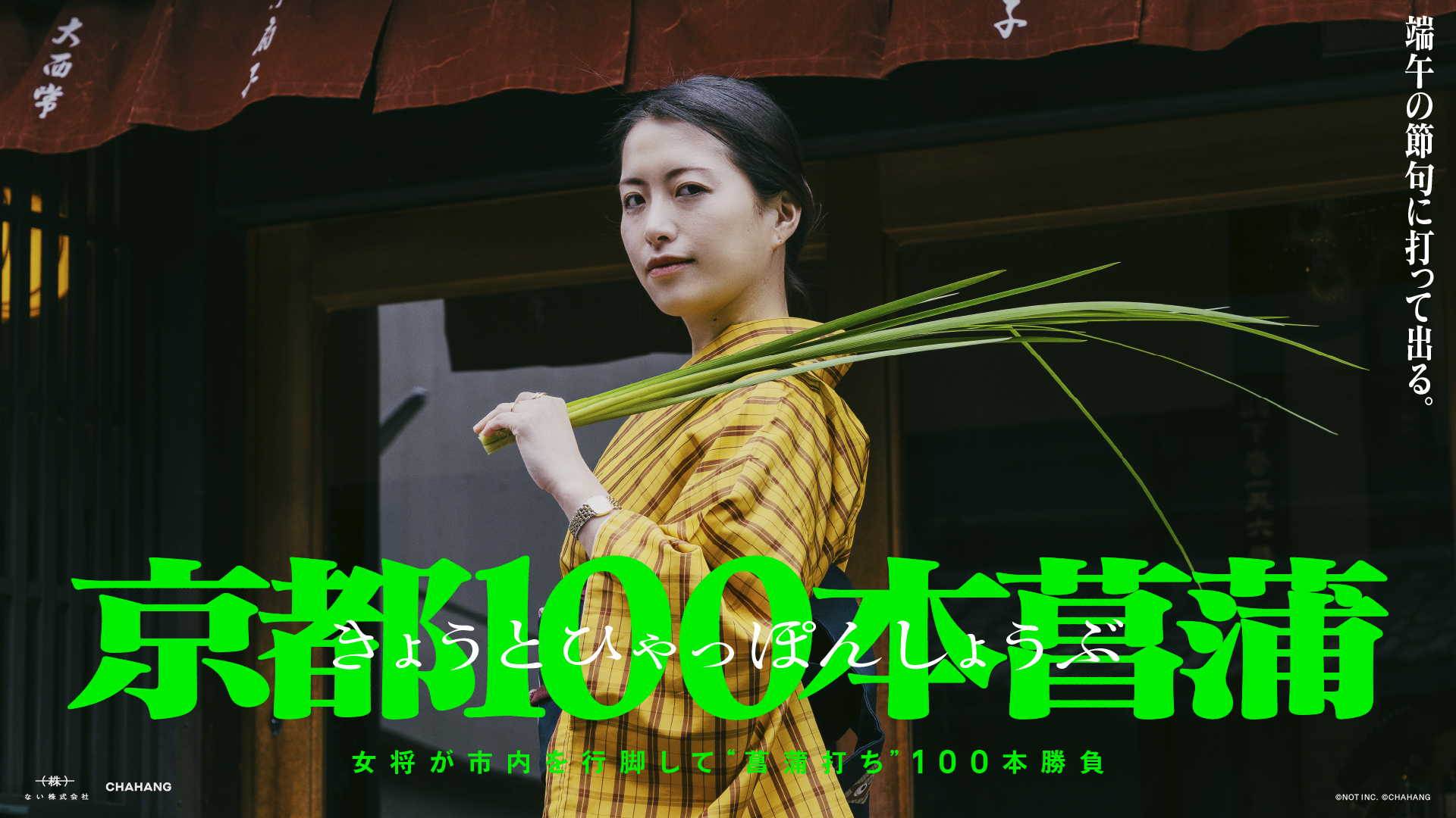 京都100本菖蒲